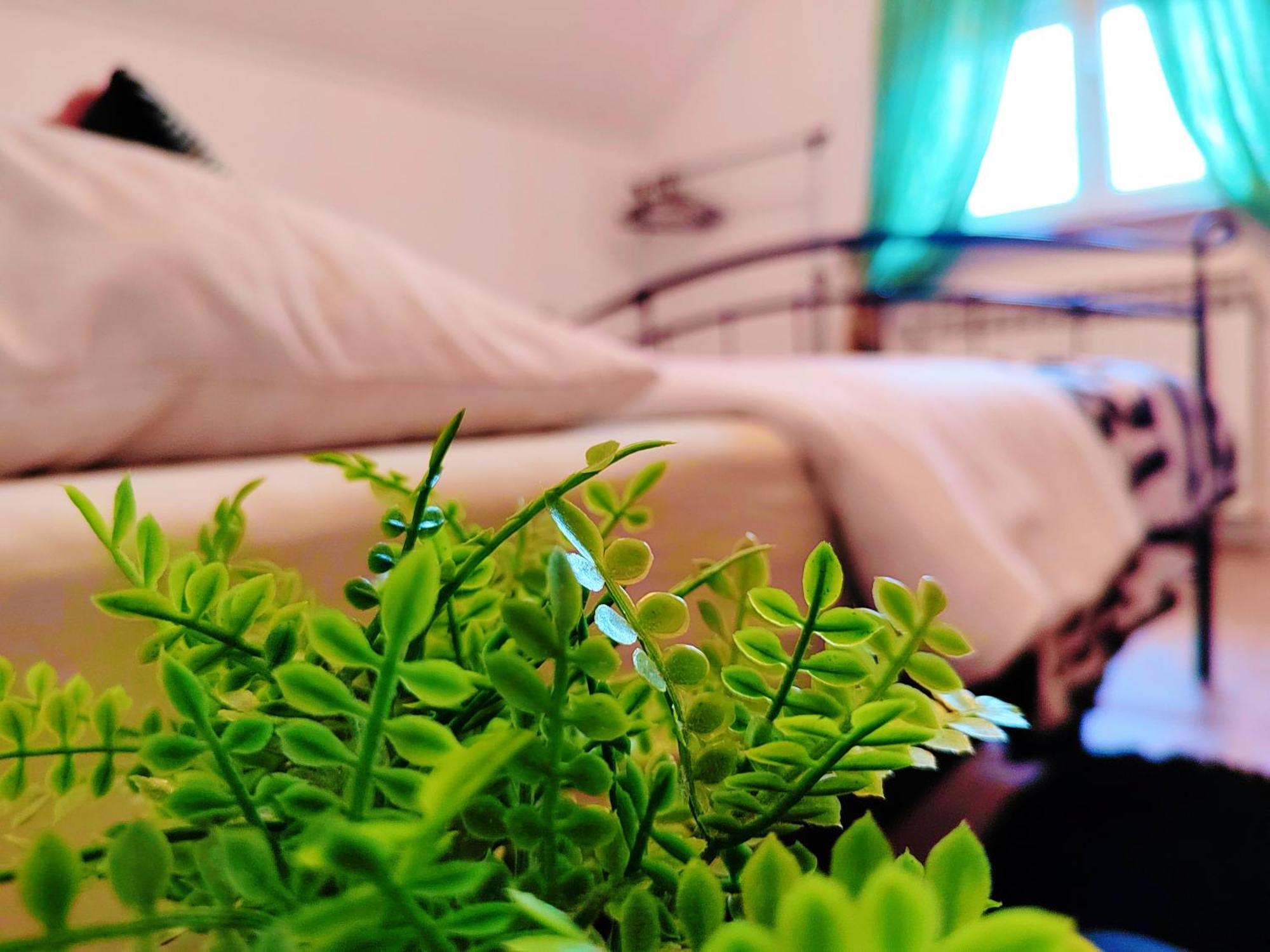 Zagreb, Apartman Jezz المظهر الخارجي الصورة